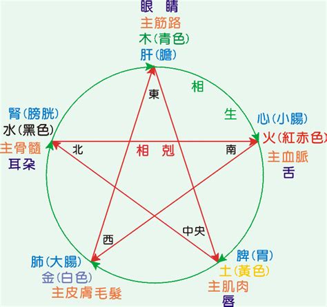 心属火|中医给五脏划分了五行属性，十分精准，古人是如何做。